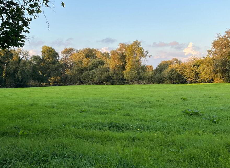 Lemonfield, Oughterard