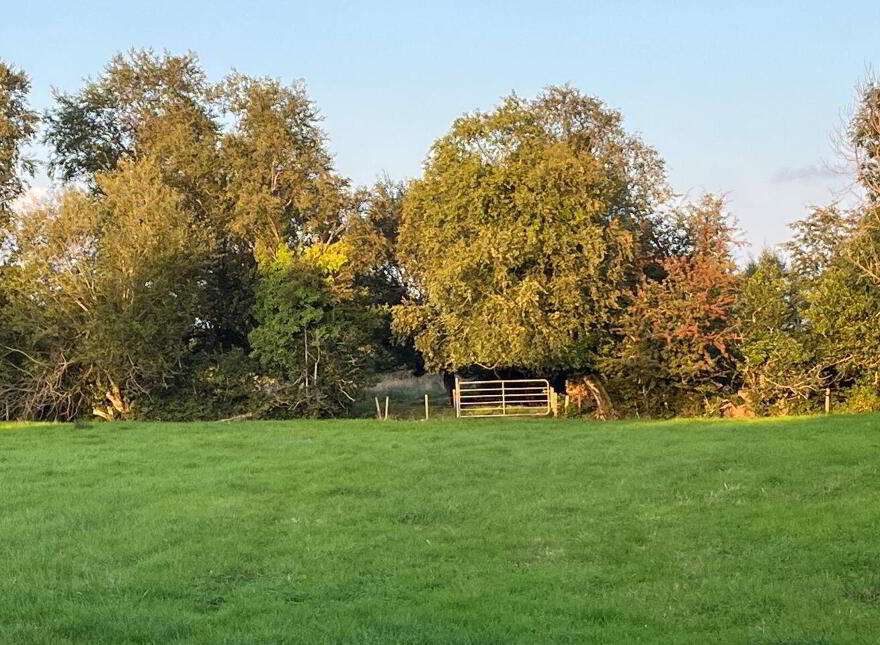 Lemonfield, Oughterard