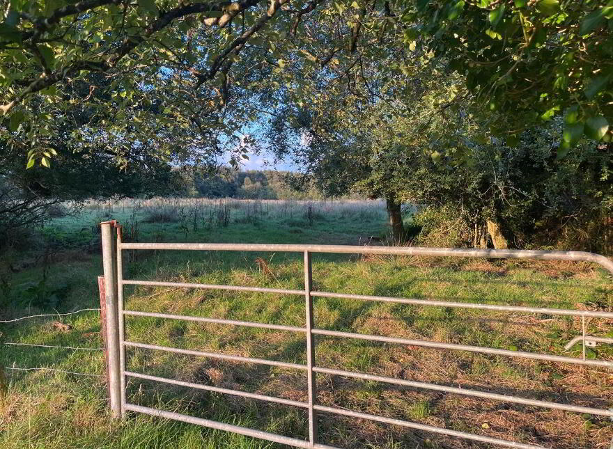 Lemonfield, Oughterard