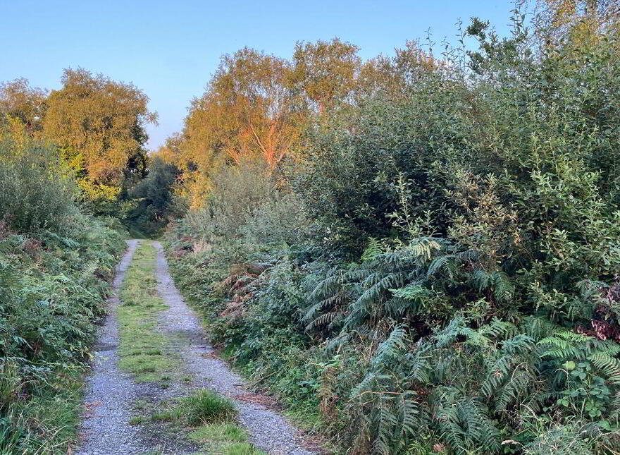 Lemonfield, Oughterard