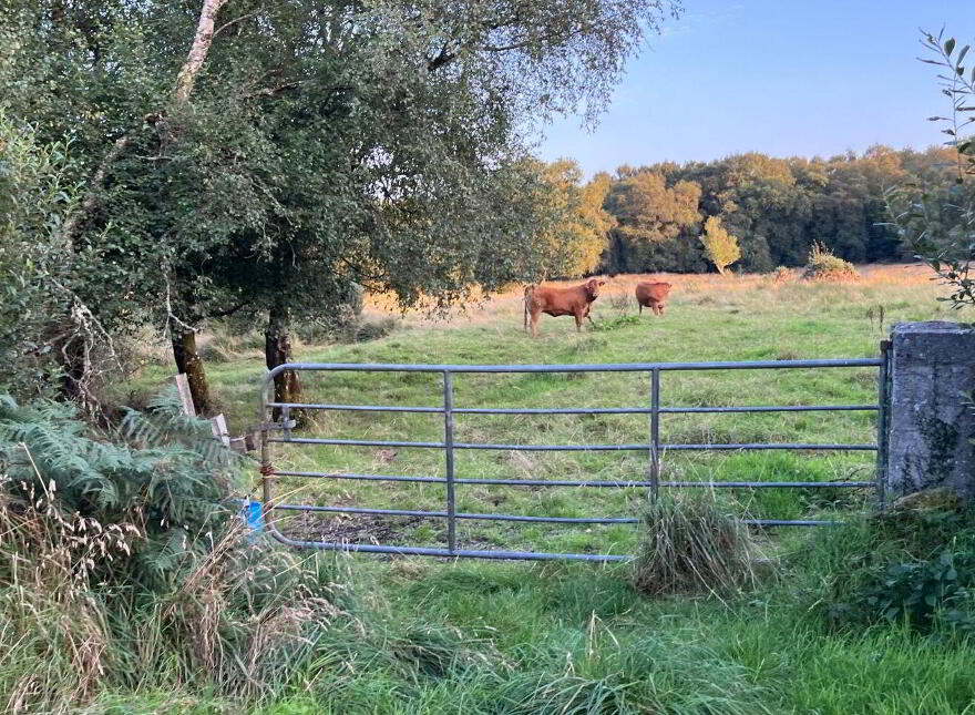 Lemonfield, Oughterard