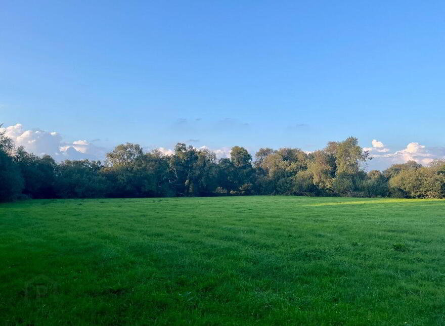 Lemonfield, Oughterard