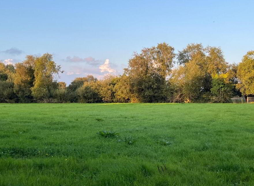 Lemonfield, Oughterard