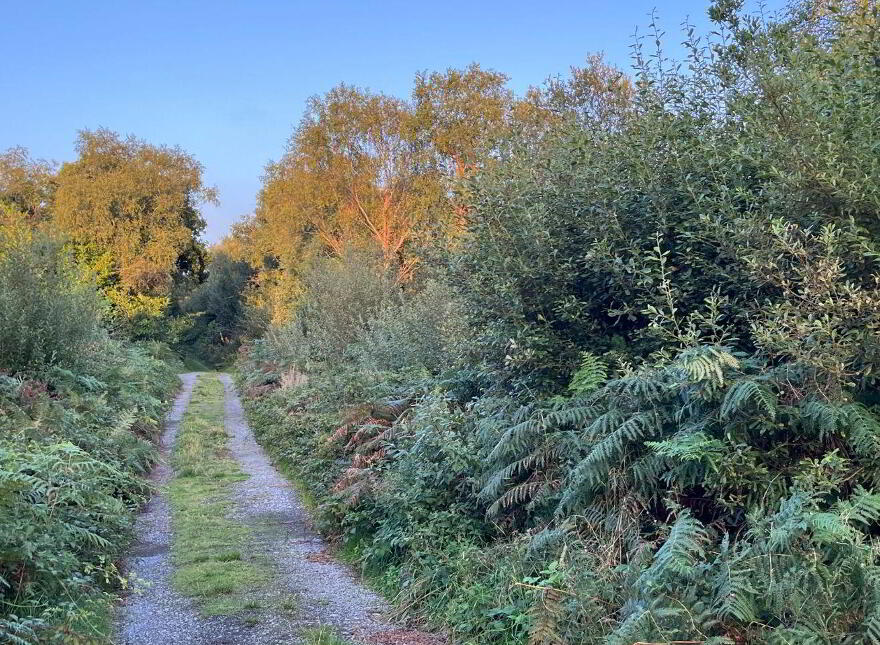 Lemonfield, Oughterard