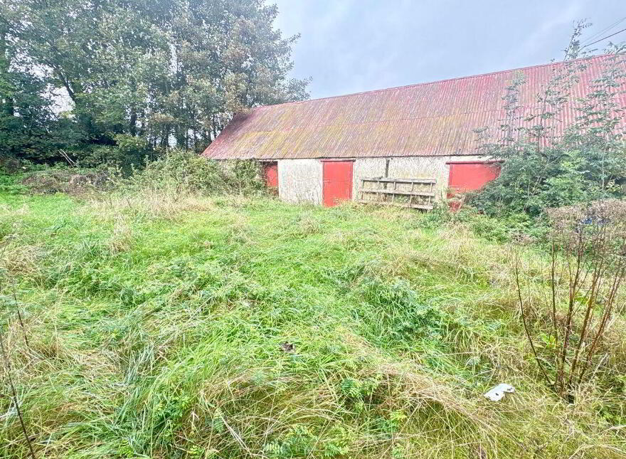 Ballindurrow, Multyfarnham, N91F680
