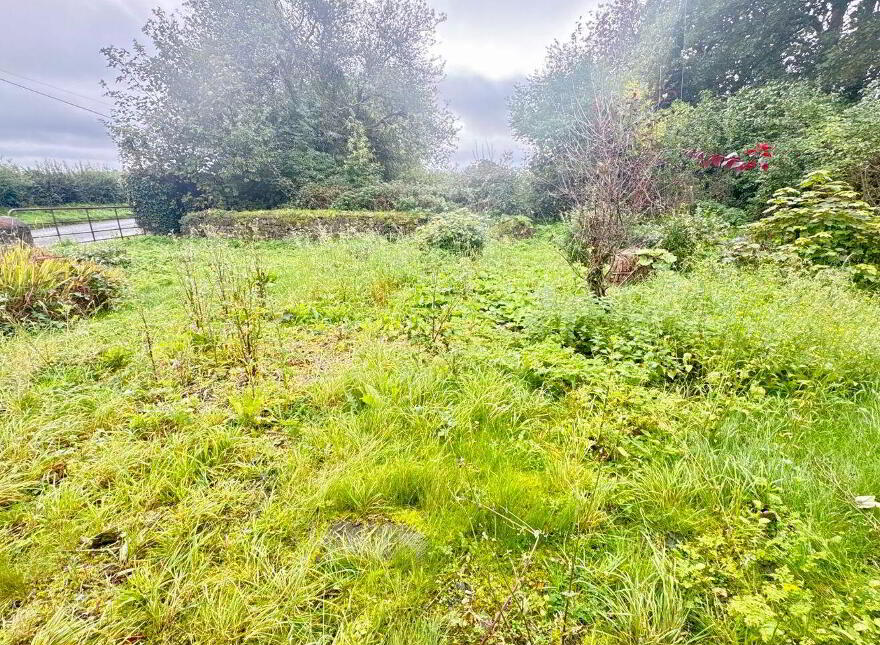 Ballindurrow, Multyfarnham, N91F680