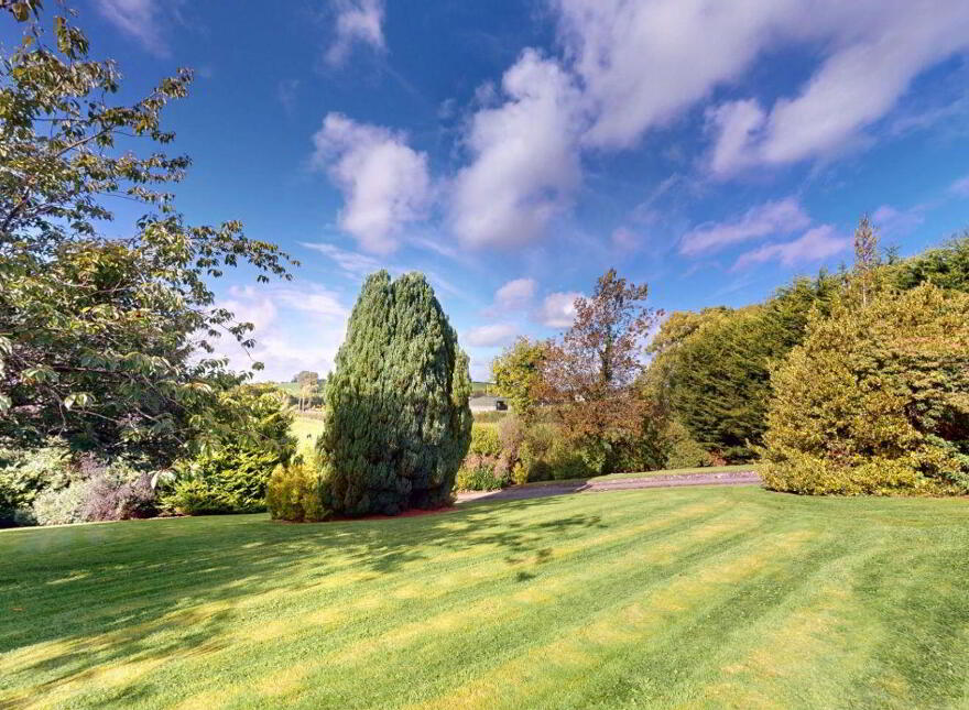 Knockatudor, Tullyco, Stradone, H16DX71