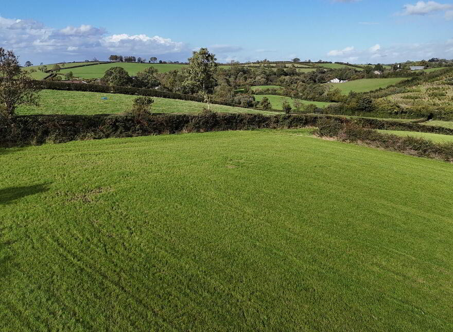 Fir Tree Lane, Scarva, BT63 6NY