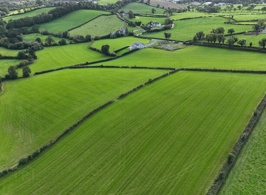 Fir Tree Lane, Scarva, BT63 6NY