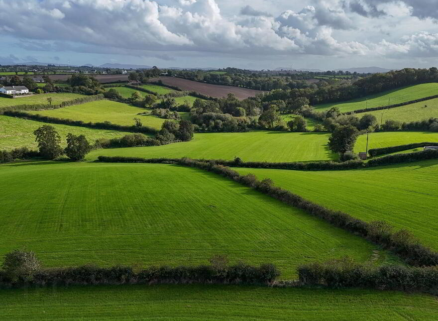 Fir Tree Lane, Scarva, BT63 6NY