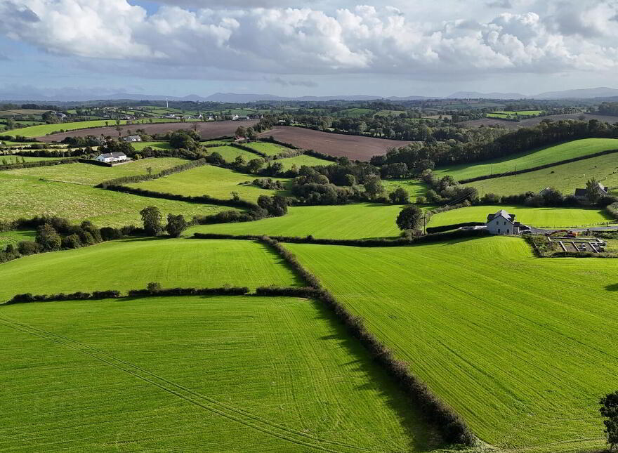 Fir Tree Lane, Scarva, BT63 6NY