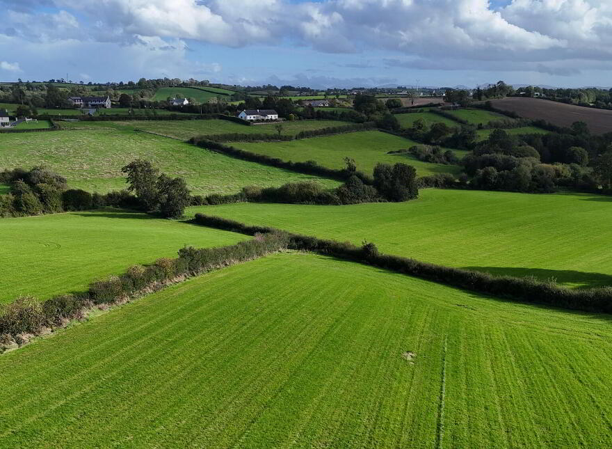 Fir Tree Lane, Scarva, BT63 6NY