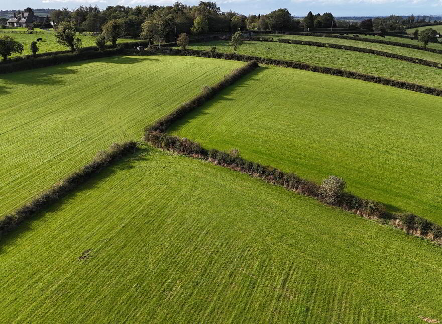 Fir Tree Lane, Scarva, BT63 6NY