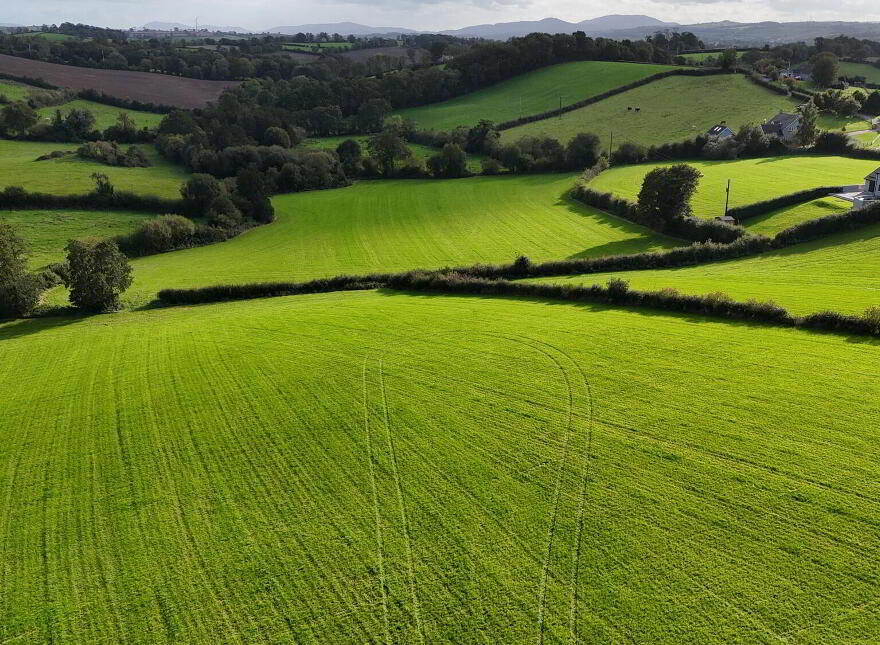 Fir Tree Lane, Scarva, BT63 6NY