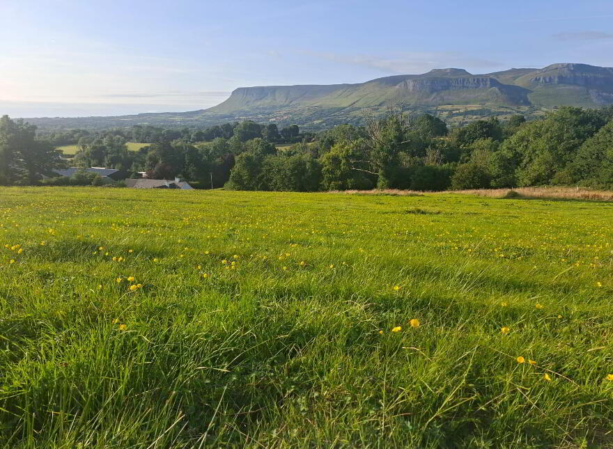 Drum Road, Rathcormac, F91E892