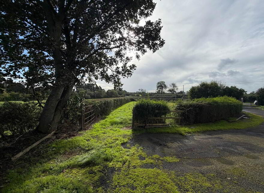 174 Seacon Road, Coleraine, Ballymoney, BT53 6PZ
