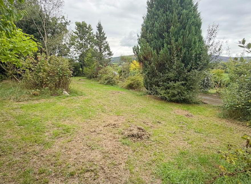 Tuckmill Lower, Baltinglass, W91V051