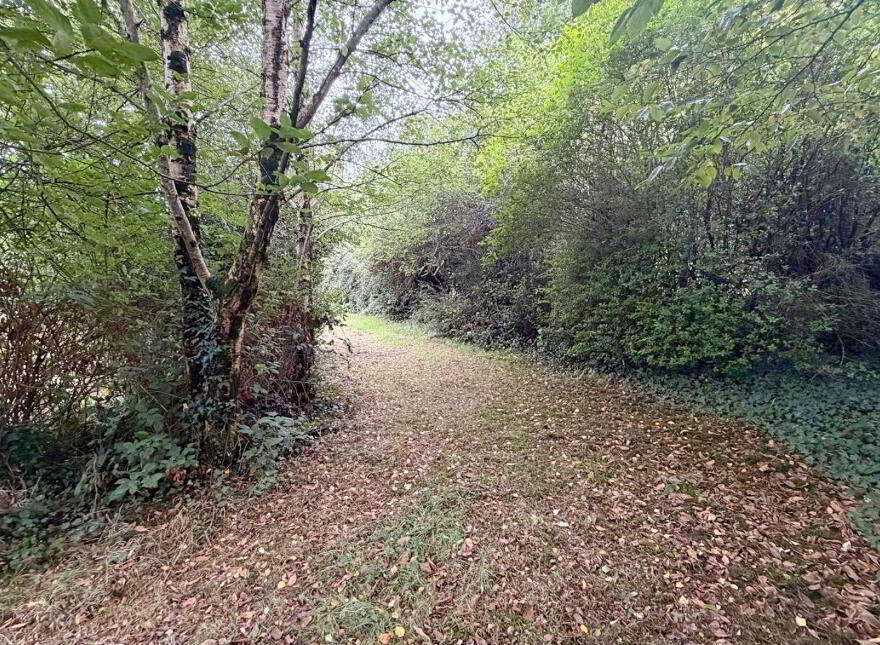 Tuckmill Lower, Baltinglass, W91V051