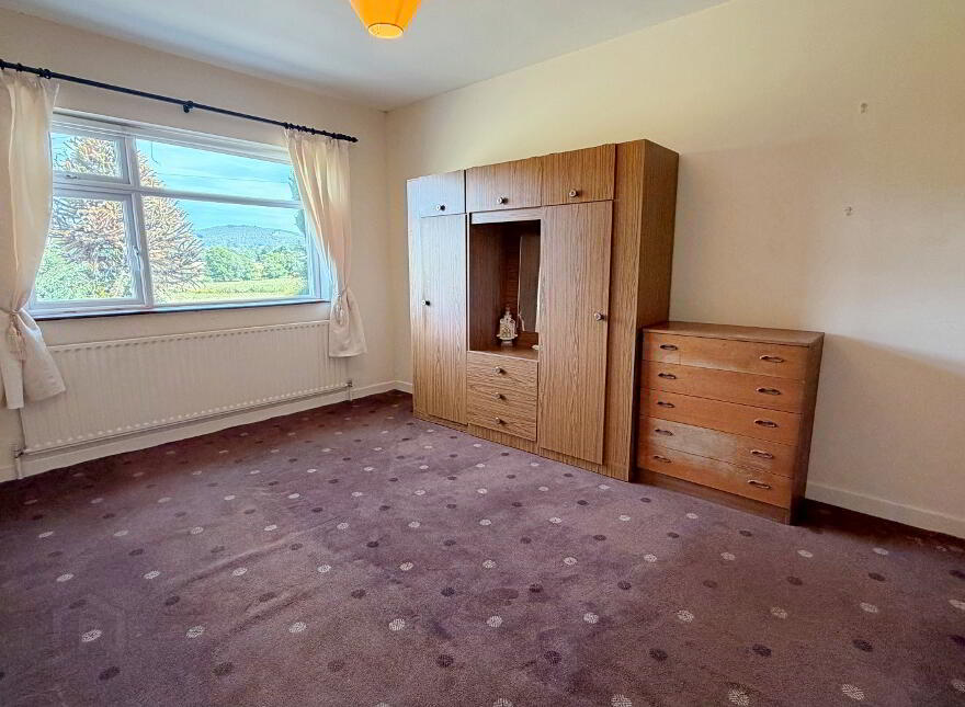 Tuckmill Lower, Baltinglass, W91V051
