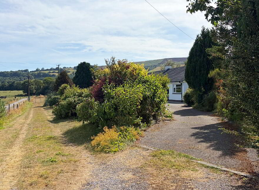 Tuckmill Lower, Baltinglass, W91V051