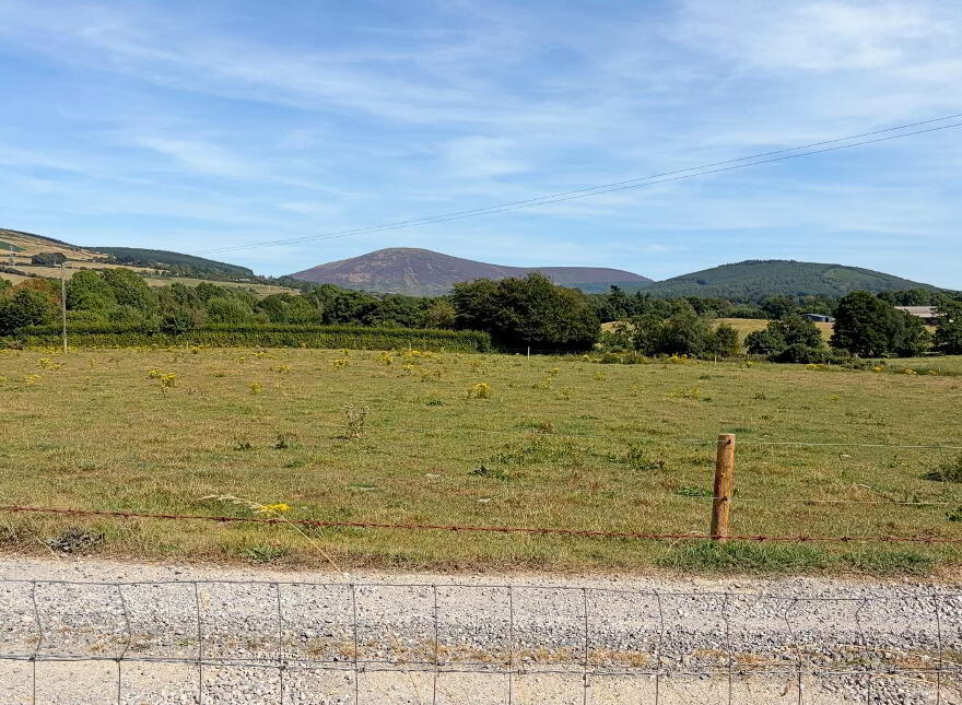 Tuckmill Lower, Baltinglass, W91V051