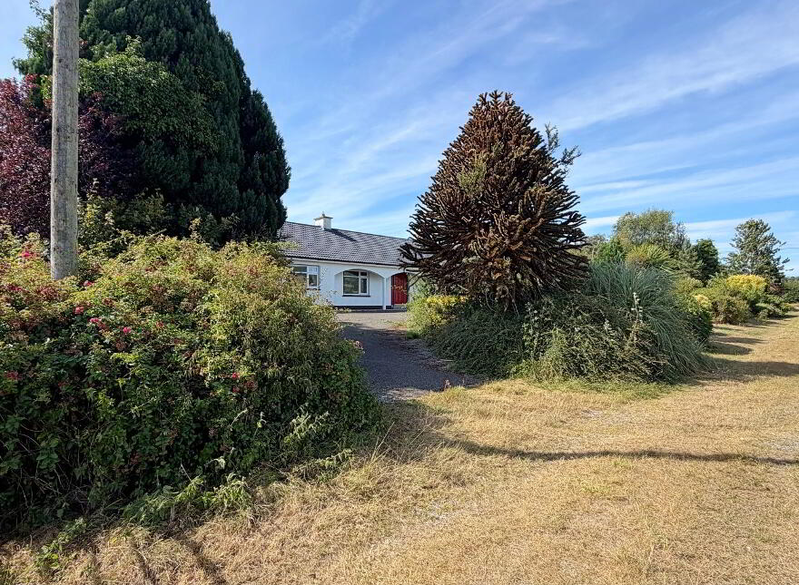 Tuckmill Lower, Baltinglass, W91V051
