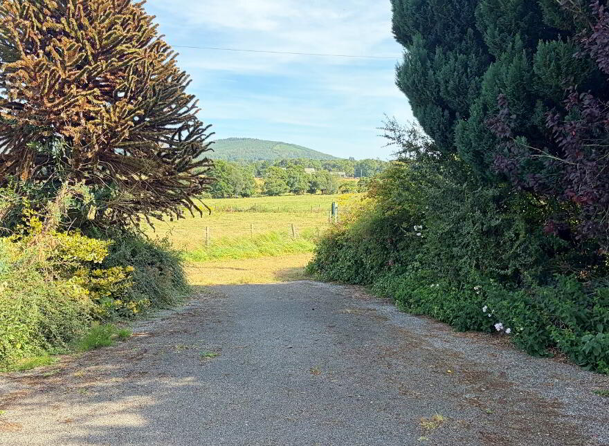 Tuckmill Lower, Baltinglass, W91V051