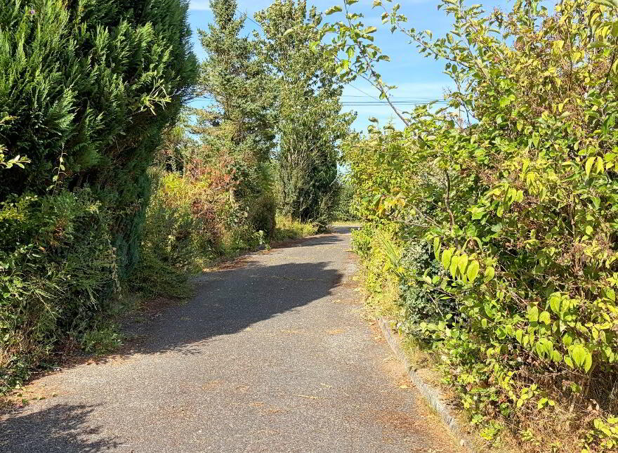Tuckmill Lower, Baltinglass, W91V051