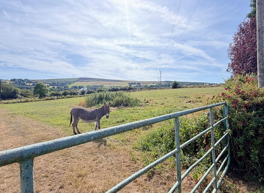Tuckmill Lower, Baltinglass, W91V051