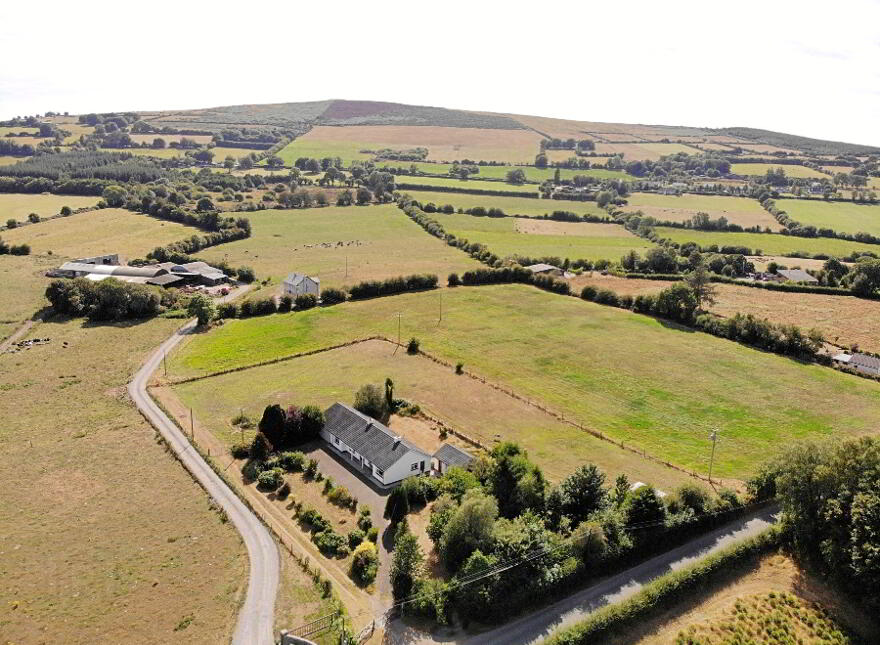 Tuckmill Lower, Baltinglass, W91V051