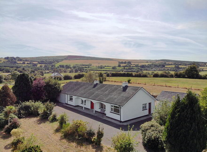 Tuckmill Lower, Baltinglass, W91V051