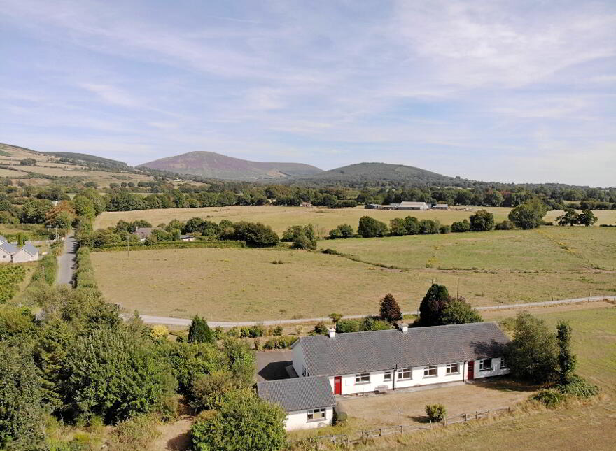 Tuckmill Lower, Baltinglass, W91V051