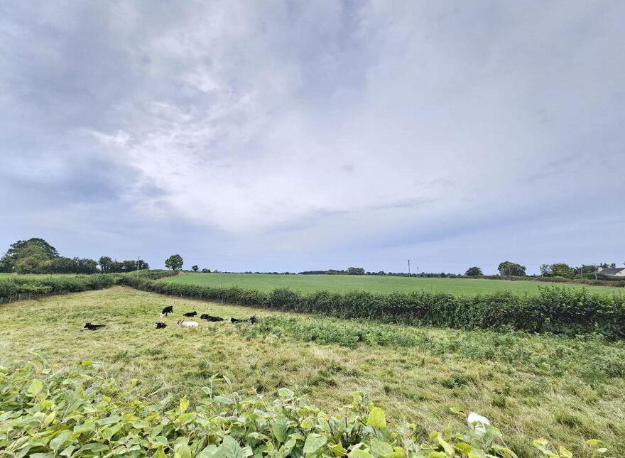 Ballyoran, Ballyboy, R42R120