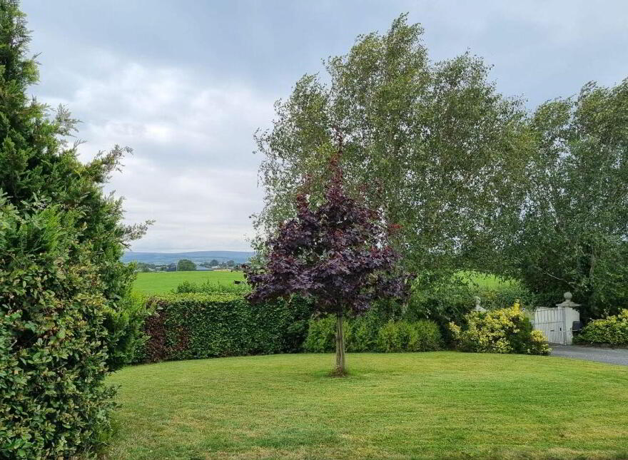 Ballyoran, Ballyboy, R42R120