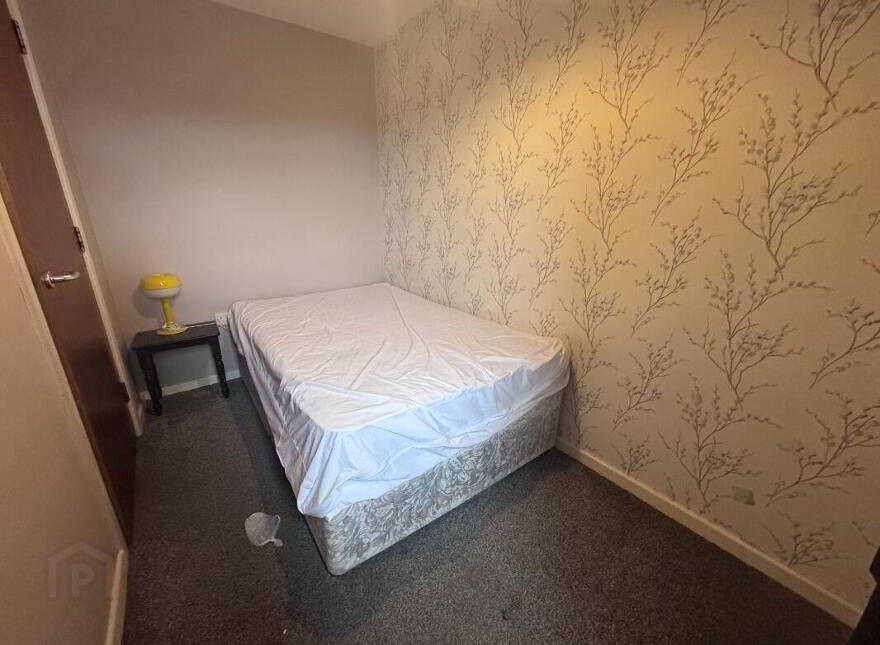 Apt 13, College Gate, Belfast, BT1 6AS