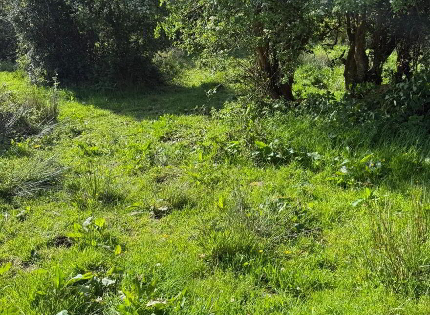Tullyard, Glenties, Ardara, F94H523