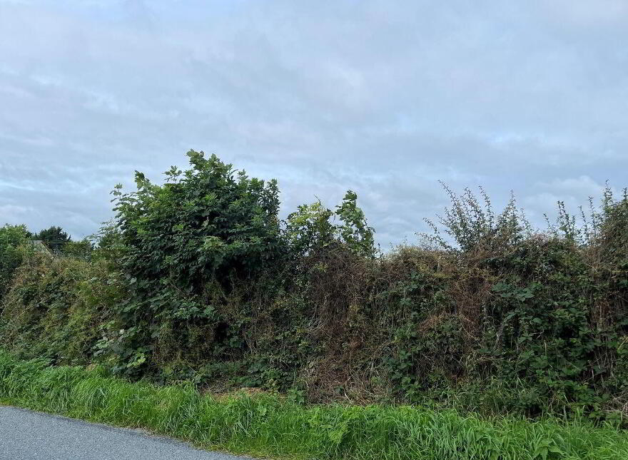 Drakestown, Castletown