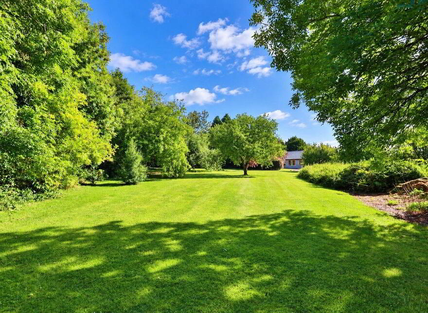 Hill Of Ward, Athboy, C15VY63