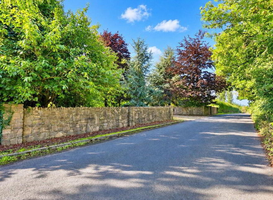 Hill Of Ward, Athboy, C15VY63