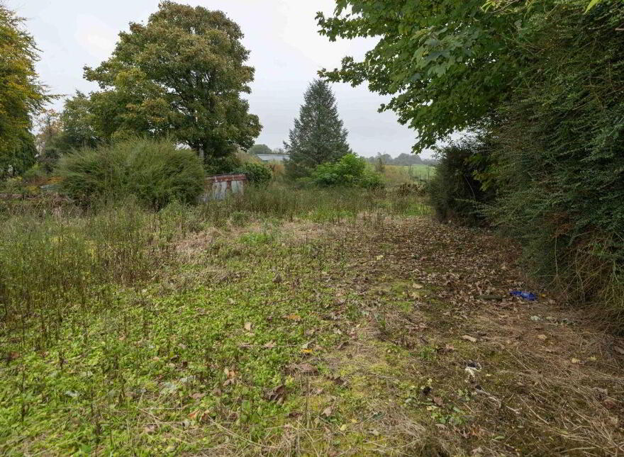 Main Street, Delvin, N91WK2R