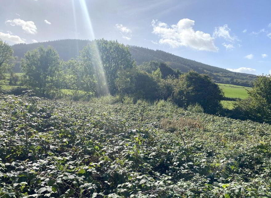 Coolcarron, Fermoy photo
