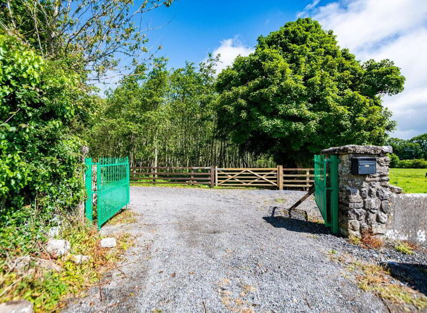 Teach Duinnshleibhe, Adamstown, Castletown-Geoghegan, N91A6X2