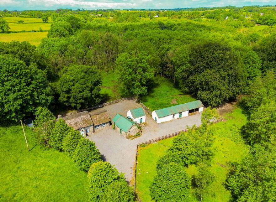 Teach Duinnshleibhe, Adamstown, Castletown-Geoghegan, N91A6X2