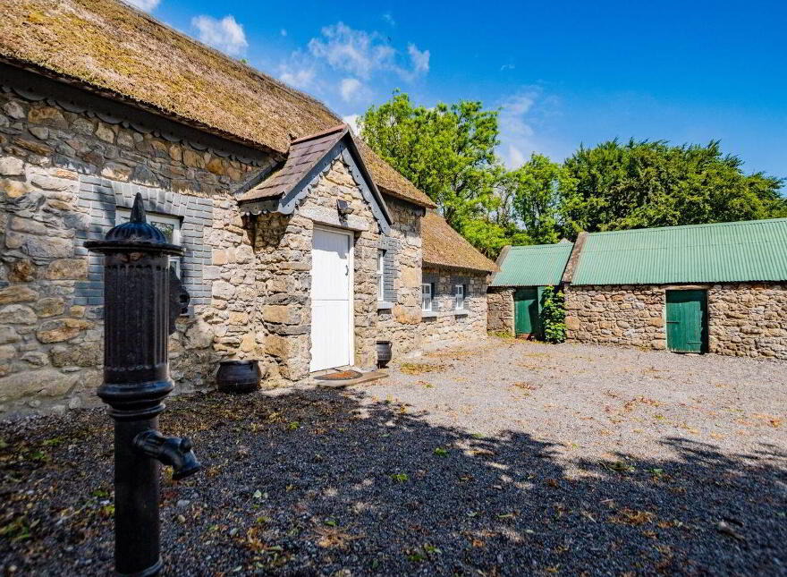 Teach Duinnshleibhe, Adamstown, Castletown-Geoghegan, N91A6X2