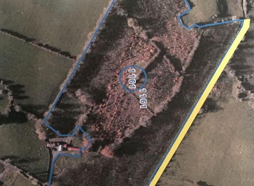 Teach Duinnshleibhe, Adamstown, Castletown-Geoghegan, N91A6X2