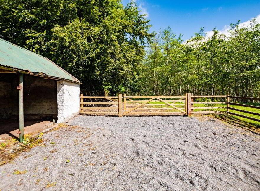 Teach Duinnshleibhe, Adamstown, Castletown-Geoghegan, N91A6X2