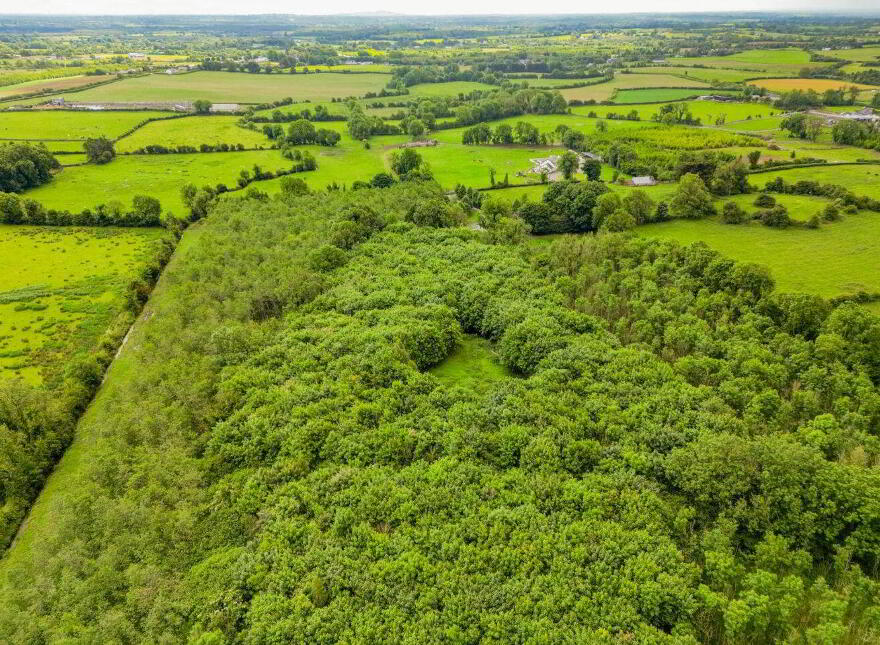 Teach Duinnshleibhe, Adamstown, Castletown-Geoghegan, N91A6X2