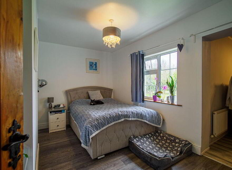 Camas, Newcastle West, V42AX50