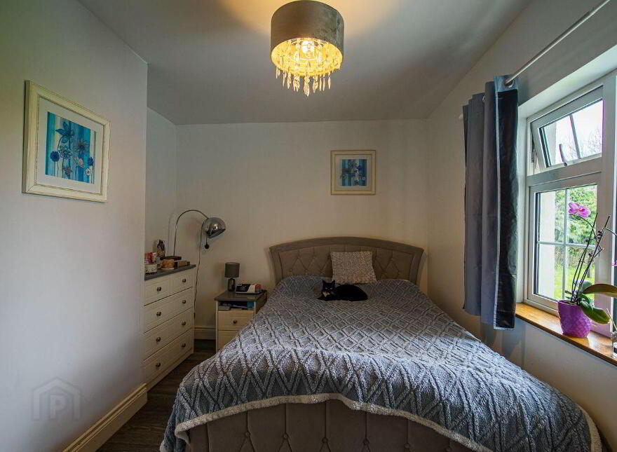 Camas, Newcastle West, V42AX50