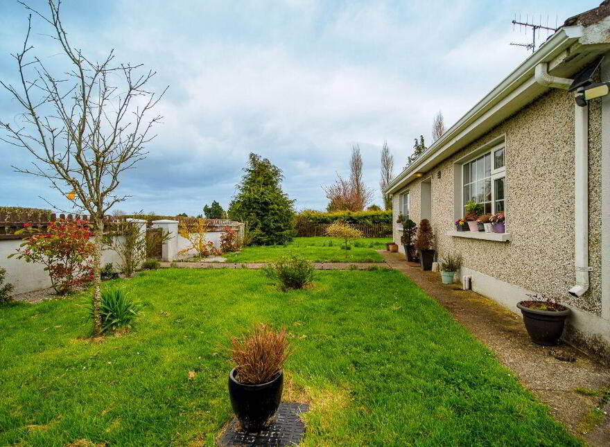 Camas, Newcastle West, V42AX50